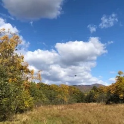 День 2. Терней. Сихотэ-Алинский заповедник. Мыс Северный.