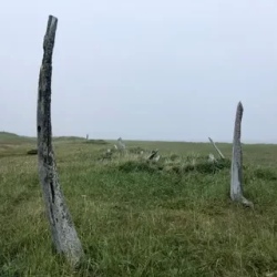 День 7. Мечигменский залив, китовая аллея.