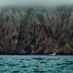 День 4. Морское сафари с китами и косатками