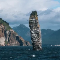 День 4. Морское сафари с китами и косатками