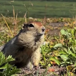День 5. Горный массив Вачкажец