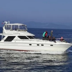 День 4. Морская прогулка по Авачинской бухте