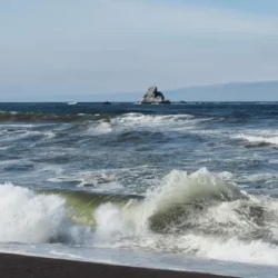 День 2. В поисках морских животных и Халактырский пляж