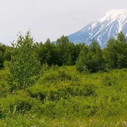 День 6. День завершения тура!