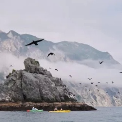 День 2. Морское путешествие