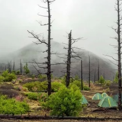 День 3. Вулкан Плоский Толбачик (подъем до 2000 м).