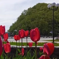 День 1. Прибытие в Петропавловск-Камчатский, экскурсия по