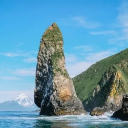 День 5. Морская прогулка, рыбалка, киты и косатки