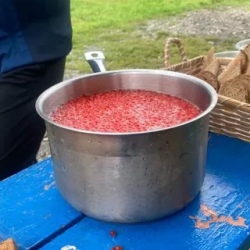 День 2. День второй