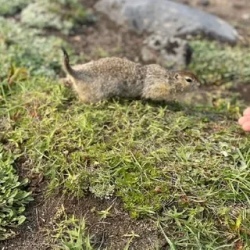 День 5. Авачинский перевал