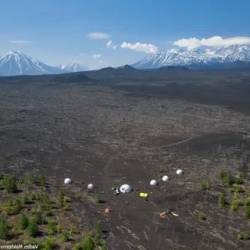 День 2. Мертвый лес,