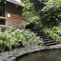 День 2. Поляна