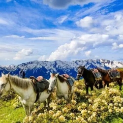 День 2. Горные пейзажи и Альпийские луга