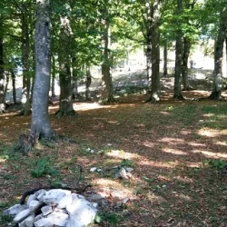 День 2. вторник (оранжевый)