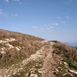 День 4. четверг (зеленый)