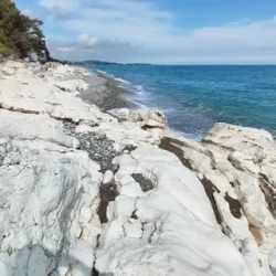День 1. Озеро Рица!
