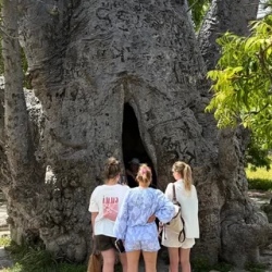 День 6. Остров легенд, диких лошадей и коралловых фортов