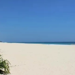 День 8. Окончание программы, дорога домой