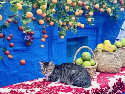 Марокко. Древнее Королевство с авиаперелётом из Москвы