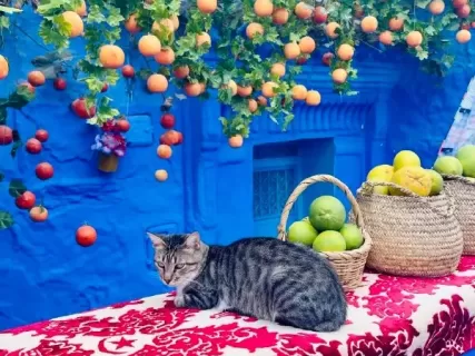 Марокко. Древнее Королевство с авиаперелётом из Москвы