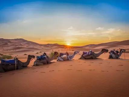 Desert Dreams  Imperial Cities: 8 Days Across Morocco
