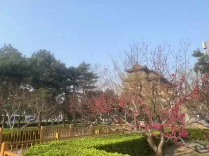 Тур в Китай, Пекин и горы Аватара