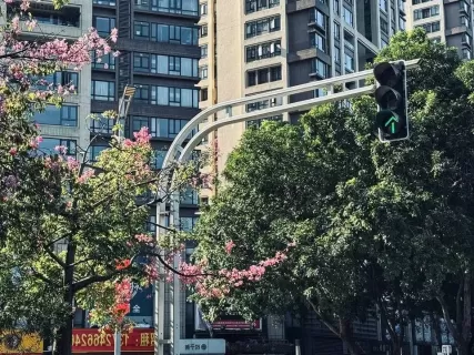Авторский фототур в Фошань