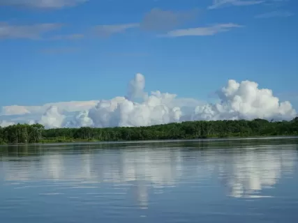 Amazon Adventure in Yasun  7 Days