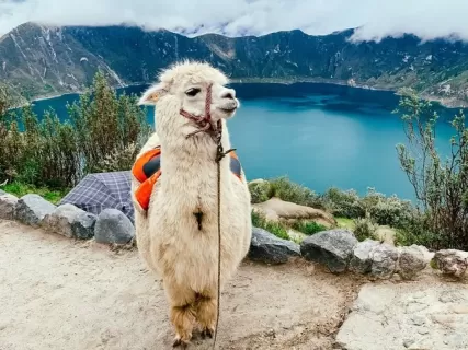 Quilotoa Lake adventure
