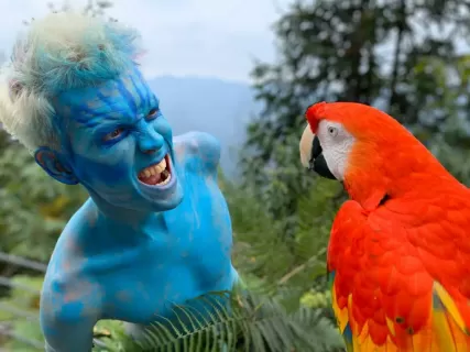 Восточный Калейдоскоп: Горы Аватара и Гуйлинь