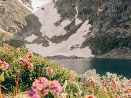 Алтай в цвету: магия маральника в Чемале - 4 дня весенних чудес