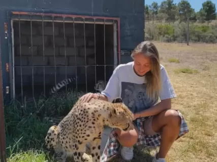 Тур в Юар: Кейптаун +сафари в Крюгер-парке