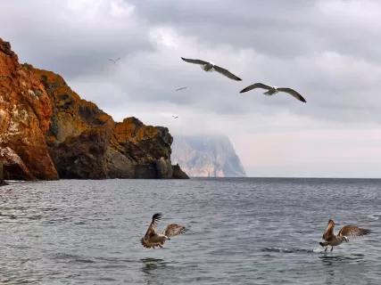 Три стихии Байкала: Ольхон, Листвянка, Аршан