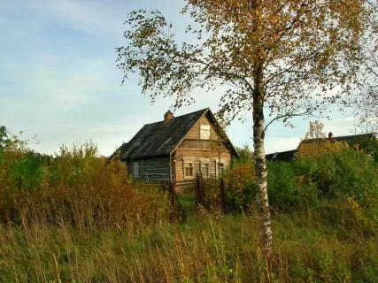 Страна Вепсов: Деревянное кольцо и тайны Онежского озера