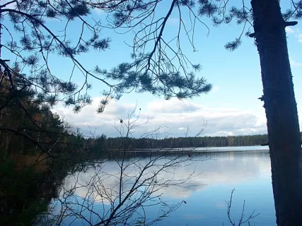 Весенняя тишина: озера, тракт и дуб Пугачева