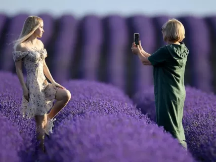 Крымская эстетика: море, лаванда и секреты красоты