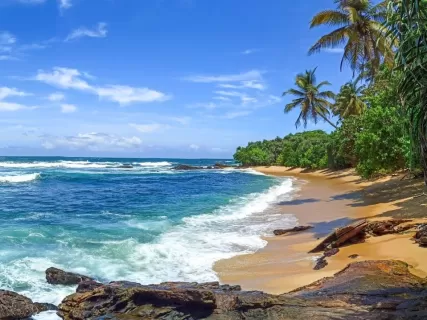 Шри-Ланка: Львиная скала, Пик Адама и сафари в Ялле