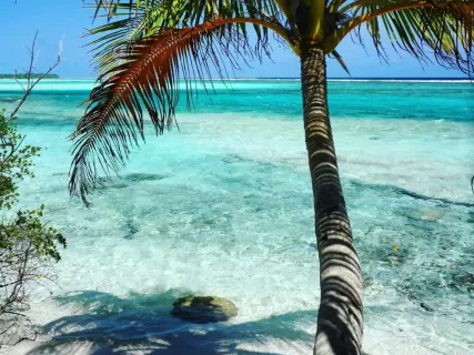 Райский отдых на Мальдивах: Тур «Всё включено» под ключ