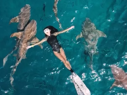 Доступные Мальдивы: пляжи, акулы и песчаные косы