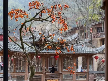 Осенняя Фуцзянь: Фучжоу и деревни Пиннаня — путешествие в страну хурмы