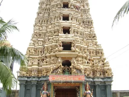 Шри-Ланка: Львиная скала, Пик Адама, сафари и океан