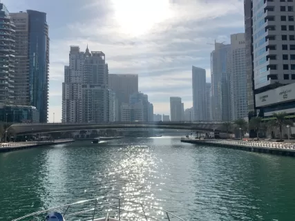 Дубай в объективе: небоскребы, пустыня, цветы и летящие платья