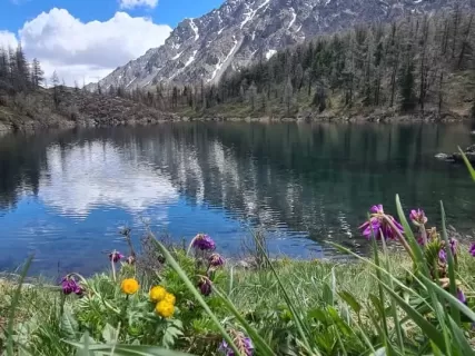 Топ на Алтае Летом, 5 дней