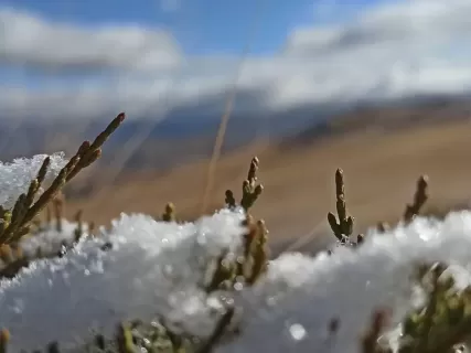 Зимний кураж на Алтае Новый
