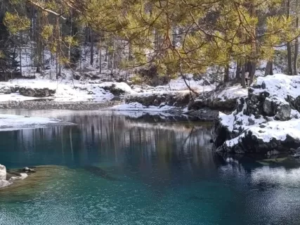 Голубые озера и мир дикой природы Алтая