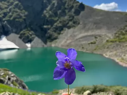 Алтай без границ