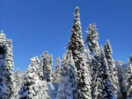 Лучшие горнолыжные курорты Алтая и Горной Шории за 7 дней