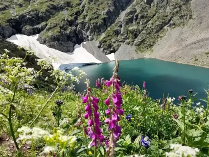 Тайны Уймонской долины