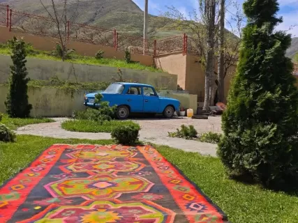 Самурский лиановый лес, экраноплан Лунь и пляж с черным песком. Купальный тур.