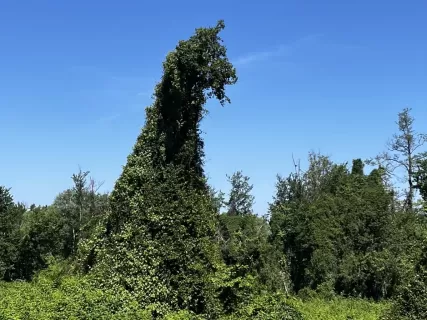 ЮЖНЫЙ ДАГЕСТАН / 5 ДНЕЙ